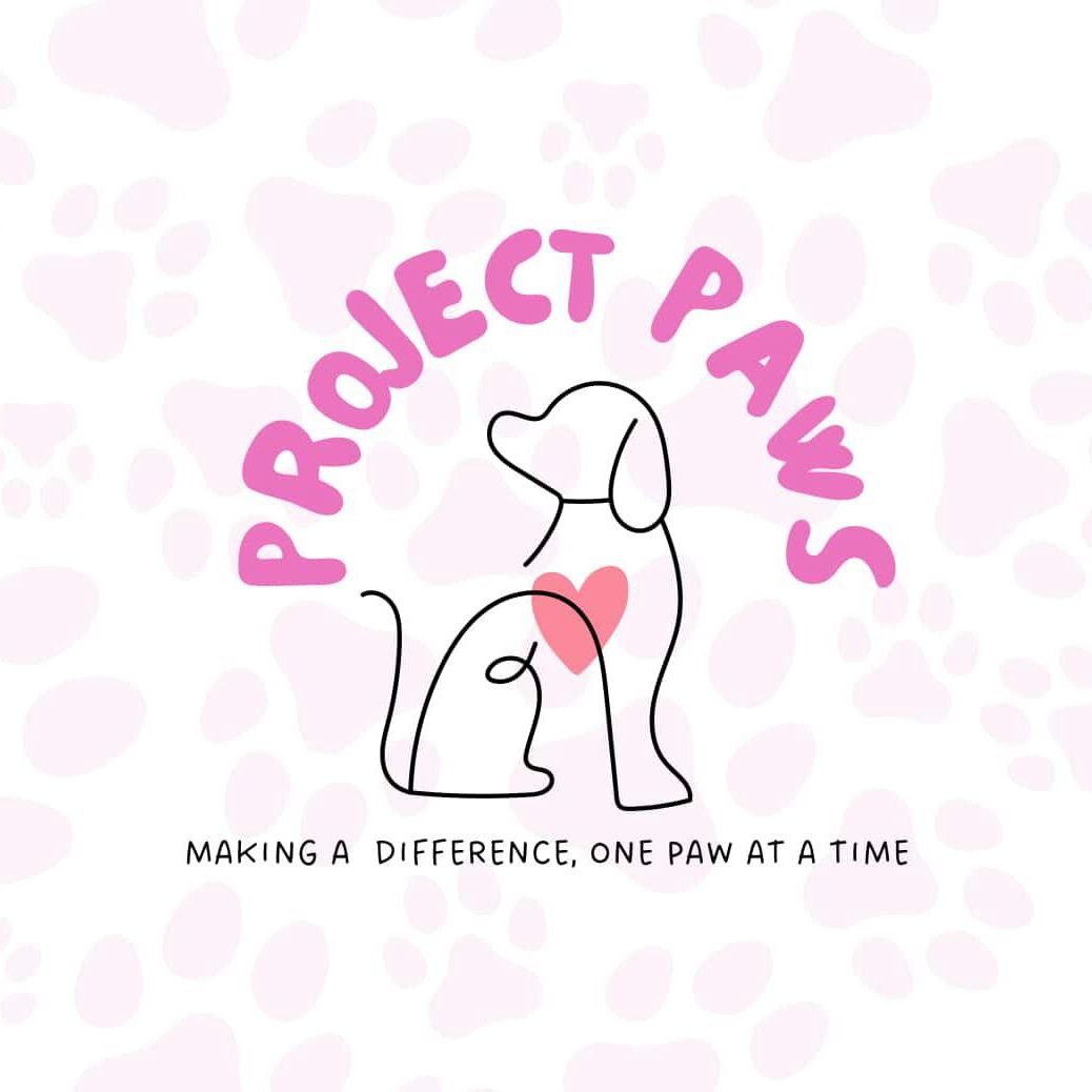 Homepage | Project paws