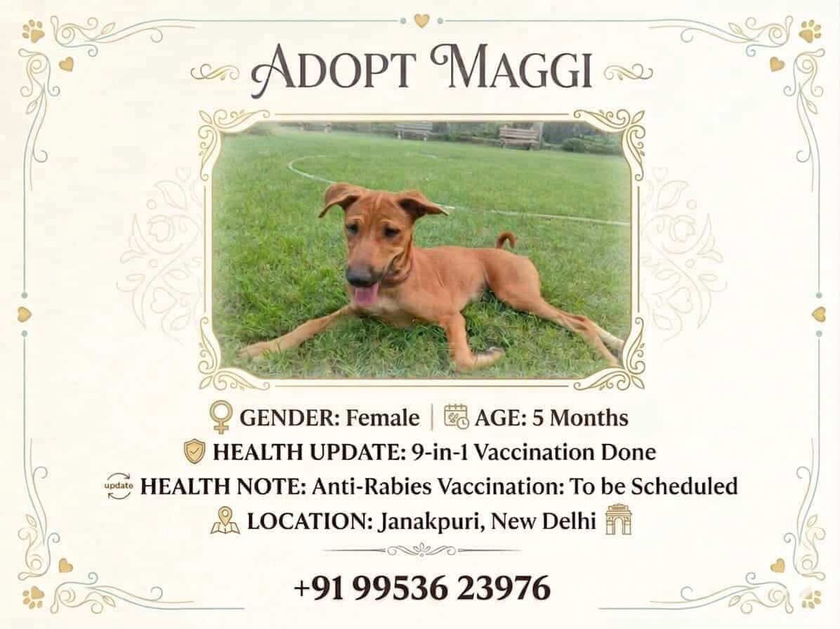 default-image